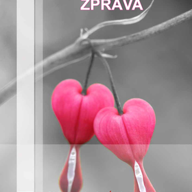 Výroční zpráva 2015