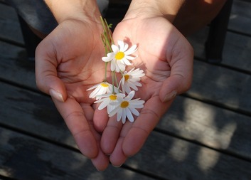 Poděkování za finanční dar pro rodinu Míši Faltuse
