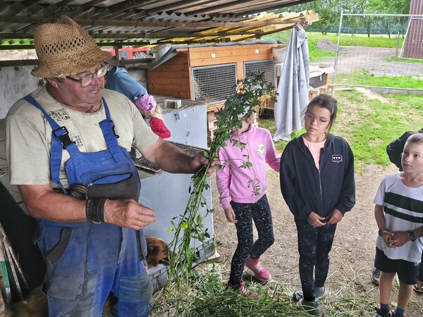 526446314_24815303521406175_8106044377517822309_n